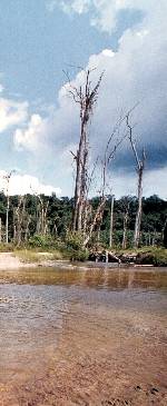&copy;1999 Credit: Topham Picturepoint / UNEP / Stan Behal