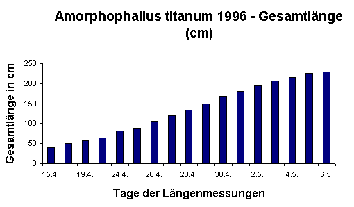 A. titanum '96 - Gesamtl&auml;nge