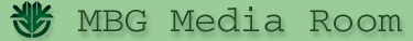 MBG Media Room