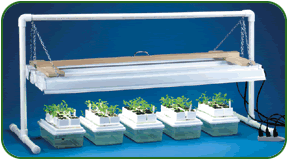 Light Bank System