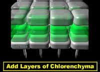 AddChlorLabCrop.jpg (74529 bytes)