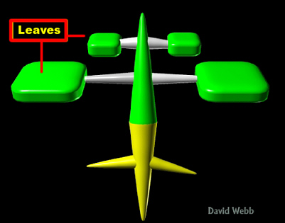 ShapeLeavetLab400.jpg (35065 bytes)