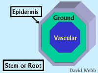 Slide1-300.jpg (35095 bytes)