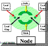 LeafGapX-SecNode200.gif (4626 bytes)