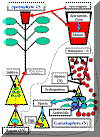Slide2.GIF (30763 bytes)