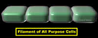 FilamentAllPurpCell.jpg (52862 bytes)