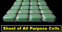 SheetAllPurpCellsCrop.jpg (62349 bytes)