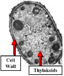 AkineteEM400Lab.jpg (9321 bytes)