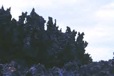 Biokarst.jpg (33814 bytes)