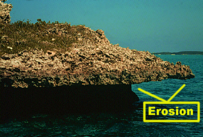 IntertidalNotchHue400Lab.jpg (125092 bytes)