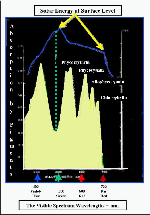 SpectrumLab500Combined.jpg (86828 bytes)