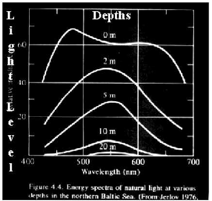 SpectrumWaterDepth450Lab.jpg (57961 bytes)