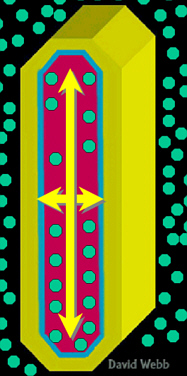 TurGElongFinal.jpg (61959 bytes)