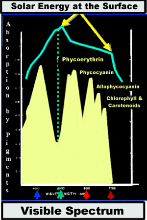 SpectrumLab300Combined.jpg (69862 bytes)