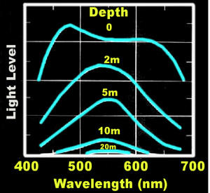 SpectrumWaterDepth300Lab.jpg (51123 bytes)