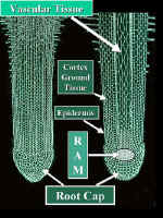 DiagramB&WGREN400.jpg (52331 bytes)