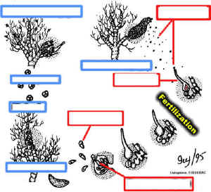 wpe2.jpg (36528 bytes)