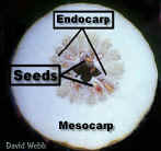 CitronLab300Lab.jpg (61017 bytes)