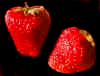 StrawberryFruTwo.jpg (40340 bytes)