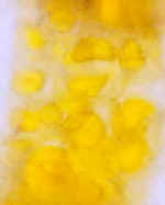 LatIKIVClose300.jpg (16261 bytes)