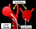 LeafGapSideSideLab300.jpg (21756 bytes)